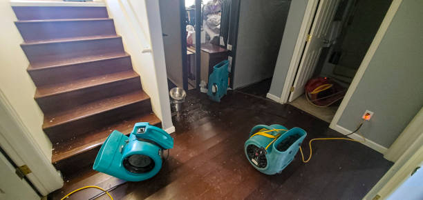 Best Water damage cleanup near me  in Winchester, NV