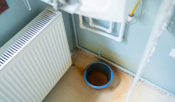 Best Basement water damage restoration  in Winchester, NV